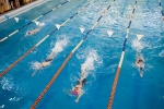 В Ухте юные пловцы отметили День матери спортивным заплывом