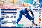 Первенство мира по хоккею с мячом среди юниоров до 19 лет в Сыктывкаре