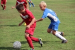 Правительство Республики Коми выделило средства на развитие детско-юношеских спортивных школ региона
