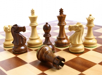 Шахматисты Республики Коми примут участие в Первенстве СЗФО России в Санкт-Петербурге