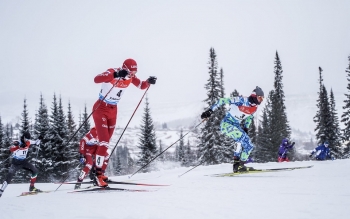 Республика Коми получила право принимать Финал Кубка России по лыжным гонкам