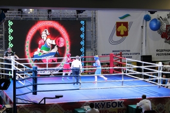 В финале Кубка России по боксу среди женщин Коми представит только одна спортсменка