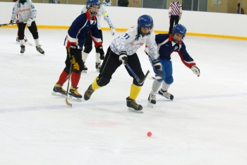 В Сыктывкаре прошел турнир по мини-хоккею  мячом среди юношей на призы Федерации хоккея с мячом Республики Коми