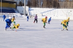 В Сыктывкаре завершился второй этап Северо-Западной детской хоккейной лиги