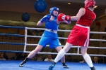 Федерация бокса России высоко оценила организацию Кубка страны по боксу среди женщин в Сыктывкаре