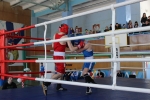 В Инте завершилось Первенство Республики Коми по боксу 