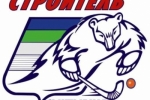 «Строитель» продолжил победную серию в Высшей лиге России по хоккею с мячом