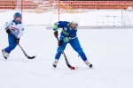 В Сыктывкаре завершился региональный турнир по русскому хоккею среди детей