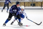 Болельщикам «Строителя» предлагают выбрать лучшего игрока регулярного Чемпионата России по хоккею с мячом
