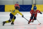 В Сыктывкаре стартует Северо-Западная детская хоккейная лига