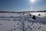 В столице Коми прошел Чемпионат по ловле рыбы на мормышку со льда