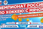 В Сыктывкаре пройдет мандариновый хоккейный матч