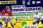 В Сыктывкаре пройдет турнир по мини-хоккею с мячом