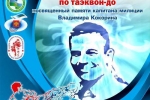 Около 200 участников соберет всероссийский турнир по тхэквондо памяти Кокорина в Сыктывкаре