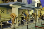 На Чемпионате и Первенстве России по плаванию за честь Республики Коми выступят семнадцать спортсменов