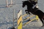 В Сыктывкаре прошли конно-спортивные соревнования на «Кубок Гапона»