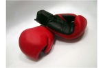 Сыктывкарские боксеры забрали у кировчан три «золота»