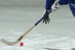 Республика Коми заручилась федеральной поддержкой в развитии хоккея с мячом в регионе