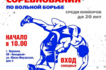 В Воронеже пройдут Всероссийские соревнования по вольной борьбе