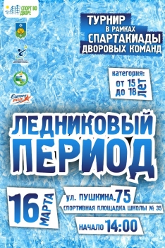 В Сыктывкаре пройдет турнир по хоккею с мячом «Ледниковый период»