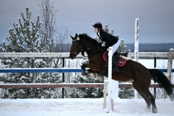 В Выльгорте завершился I этап Республиканских соревнований по конному спорту в дисциплине конкур