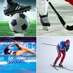 В Коми утверждены базовые виды спорта на 2018-2022 годы