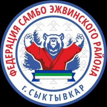 Общий итог выступления Федерации Самбо Эжвинского района г. Сыктывкара