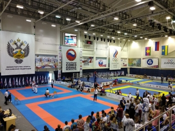 Тхэквондисты Коми успешно выступили на XI открытых Всероссийских юношеских играх боевых искусств