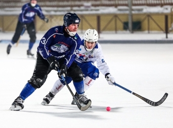 Болельщикам «Строителя» предлагают выбрать лучшего игрока регулярного Чемпионата России по хоккею с мячом