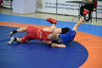 В Выльгорте стартуют Всероссийские соревнования по вольной борьбе среди юношей