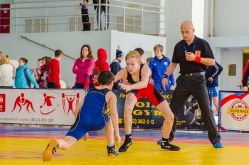 Сыктывкарские спортсмены завоевали 10 золотых медалей на Первенстве Республики Коми по вольной борьбе