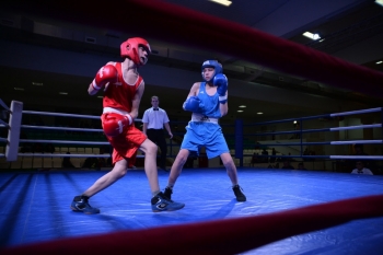 В Сыктывкаре определили сильнейших спортсменов на Республиканском турнире по боксу
