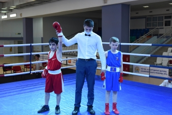 В Сыктывкаре стартовал юбилейный турнир по боксу памяти А. Католикова и А. Саркисова