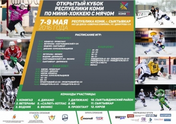 В Сыктывкаре состоится Открытый Кубок Республики Коми по мини-хоккею с мячом