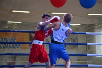 Александр Грищук дал старт Чемпионату Республики Коми по боксу