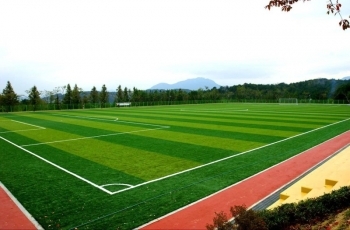 В Коми появится новое футбольное поле с искусственной травой
