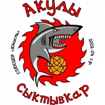 «Акулы» из Коми приняли участие во всероссийском фестивале по мини-баскетболу