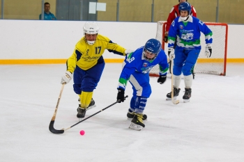 В Сыктывкаре пройдет турнир по мини-хоккею с мячом