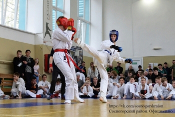 В Сосногорске состоялись соревнования по рукопашному бою