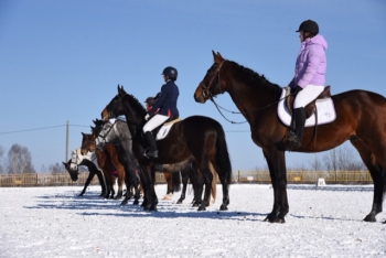 В Республике Коми стартовали первые за год соревнования по конному спорту