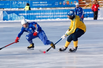Первенство мира по хоккею с мячом среди юниоров до 19 лет в Сыктывкаре: Финляндия — Швеция 3:3 (2:1)